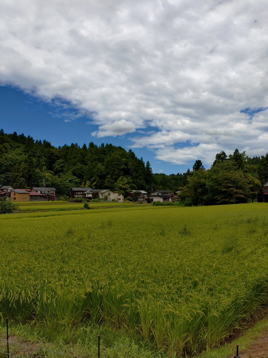suedo_dn's tweet photo. いなか〜。 https://t.co/bknbfy8moA