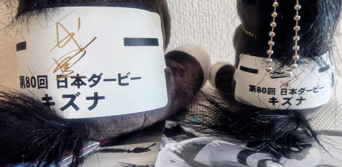 武豊展で購入したキズナぬいぐるみ… 40周年タグが付いており武豊騎手の