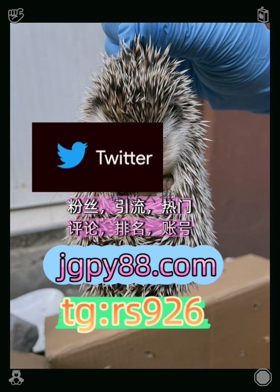 ilovedollidol's tweet photo. Be thankful for each new bright day.
推特矩阵系统、Twitter矩阵系统、X矩阵系统上门外⚽facebook世界杯
推广推特账号海外获客🪐主人的任务🌱福州厦门泉州莆田
关键词霸屏🧳熱門🌈权重号🌟推特老号🍄定時發推💐推特矩阵系统、Twitter矩阵系统、X矩阵系统围619723推特账号
上热门拉萨代发西宁 https://t.co/LwQZ7bowoI