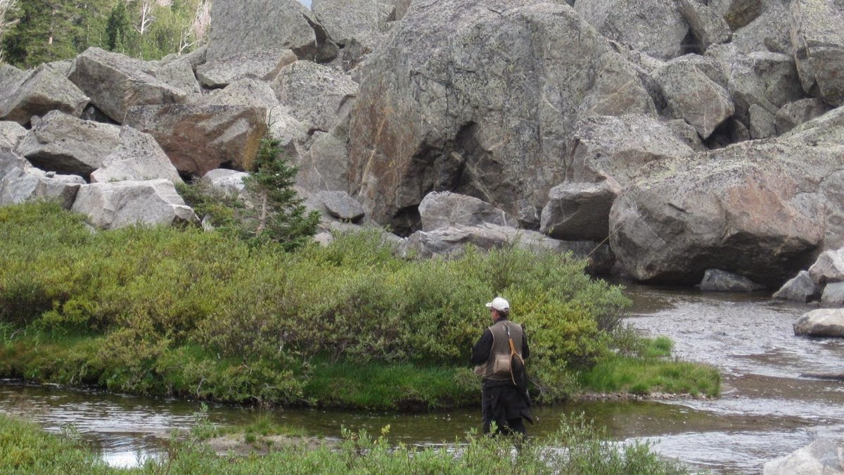 BPFlyfishing's tweet photo. Weather pushed us off the mountain from the high lake we'd targeted.  There were still plenty of beautiful little goldens to be caught in the stream below.

-Wind River Range, WY

#flyfishing #flyfishingadventures #flyfishinglife #backpacking #goldentrout #windriverrange https://t.co/uSDbmb5hJt