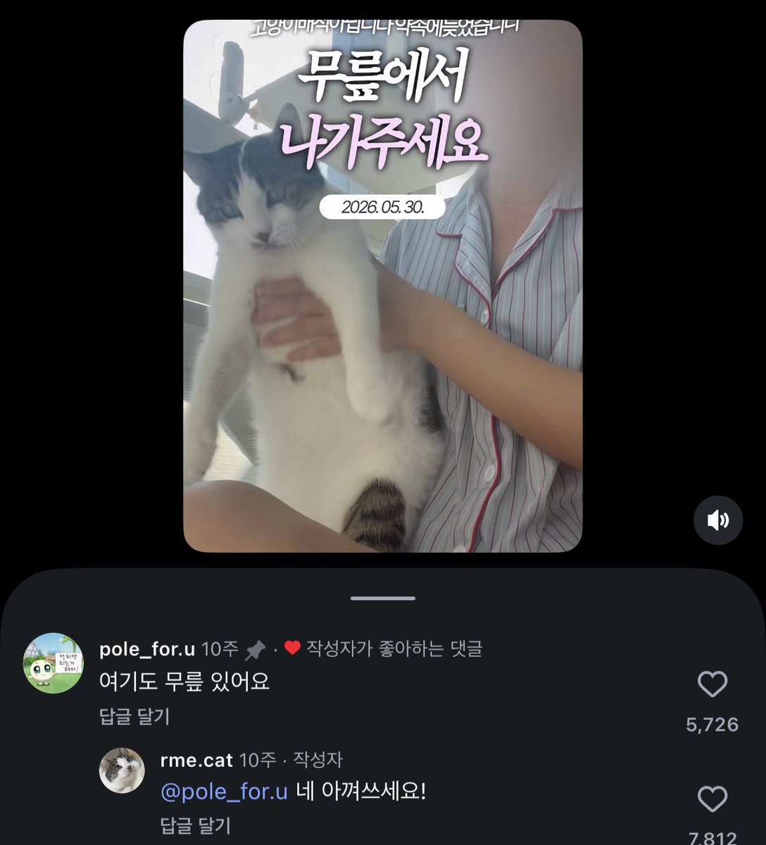 ratatouitt's tweet photo. 고양이한테 단호하지만 사람한텐 더 단호한 집사님 https://t.co/MJn4C9zMJg