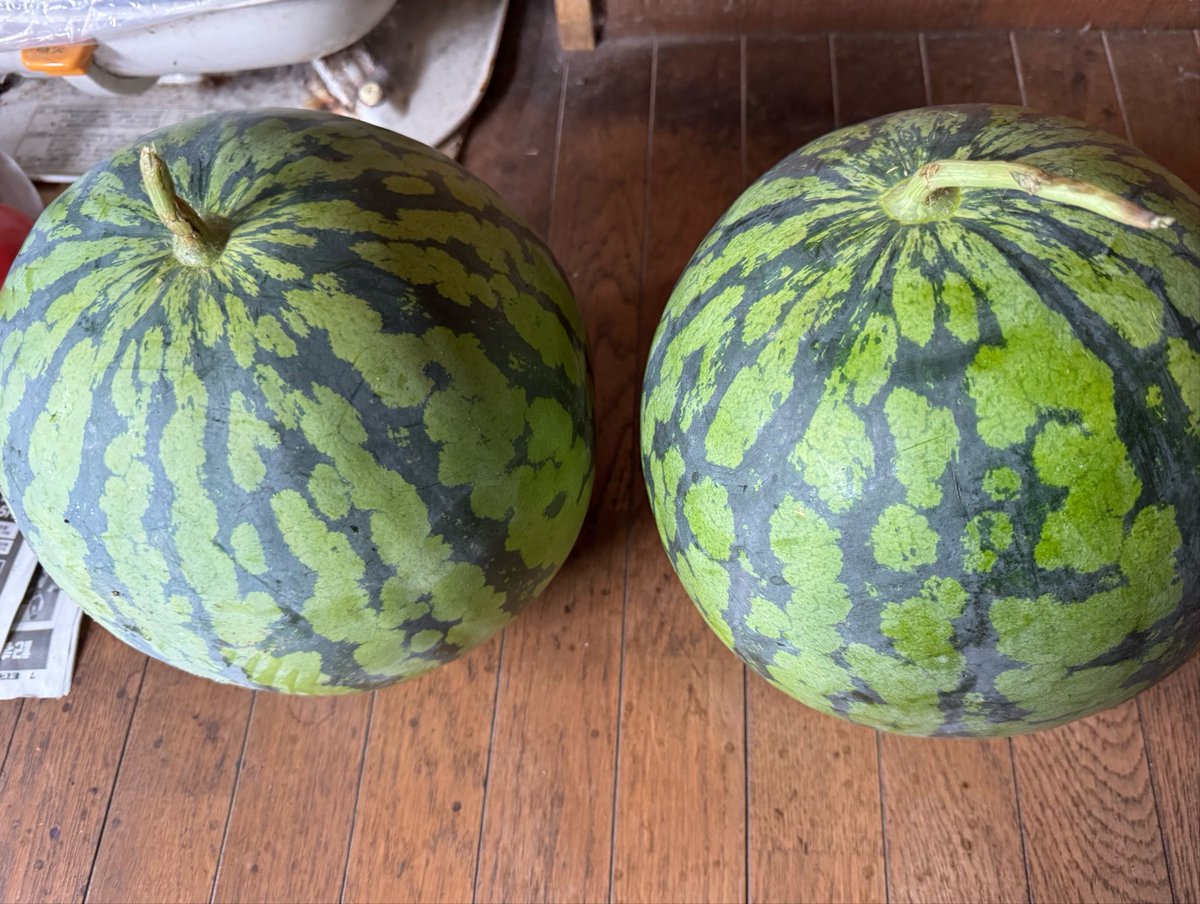 Poporo_ff's tweet photo. 増えた https://t.co/xp7HSEs8LF