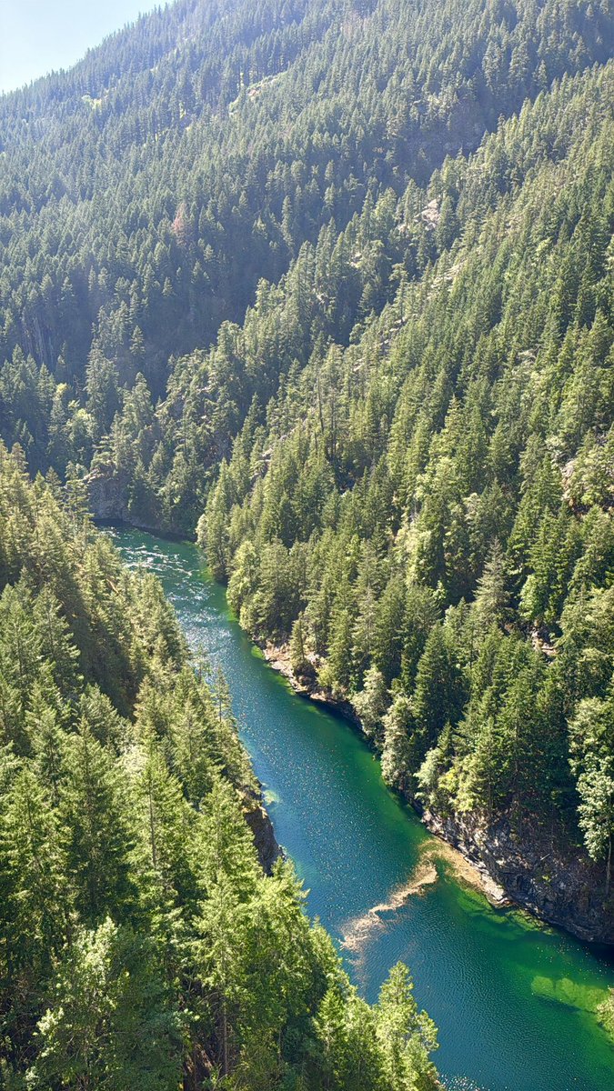 outofthiswrldn's tweet photo. #pnw #hikemaxing https://t.co/sTRUUjEA3T
