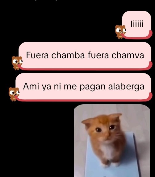 Kittynsns's tweet photo. Fuera chamba fuera chamba https://t.co/UqYVQSzSK8
