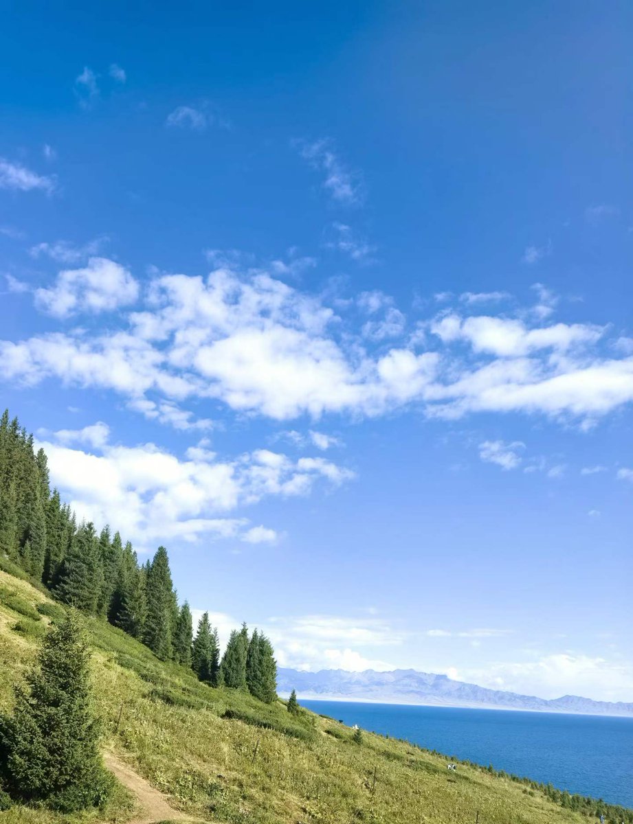 lixintian17's tweet photo. 山顶的风景 https://t.co/04YqeprNJn