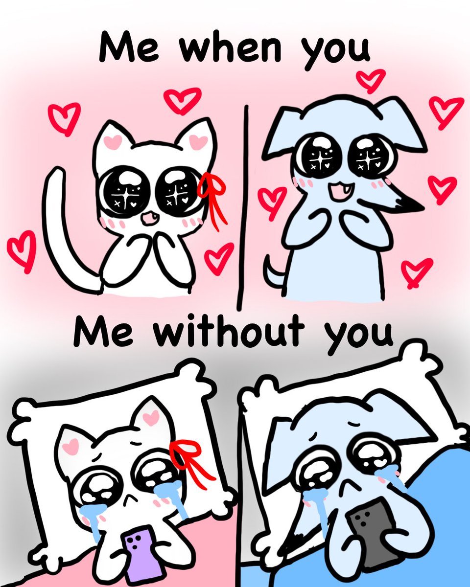 catandgreyhound's tweet photo. With you vs without you 🥹 https://t.co/EsgQx5O53J