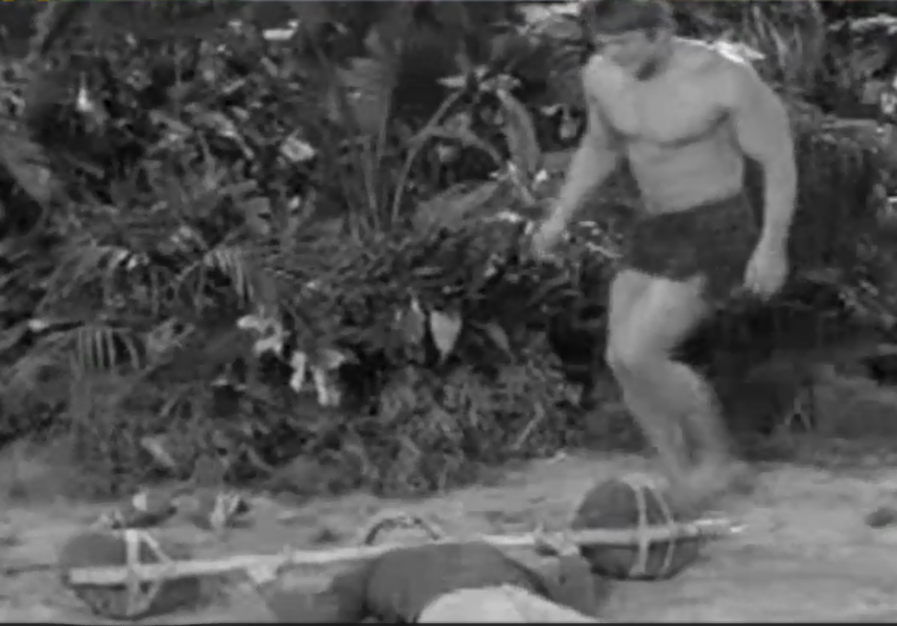 GIDukeWilli789's tweet photo. Duke saves Gilligan...from himself. https://t.co/GPa5HBFHh8