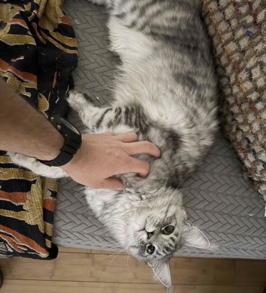 HiVEMiND_Zero's tweet photo. After a long day of horny posing, I post #cutecore. I want to remind the girlies that I am actually a sweetie with a heart of gold. https://t.co/NhzfhRZGra