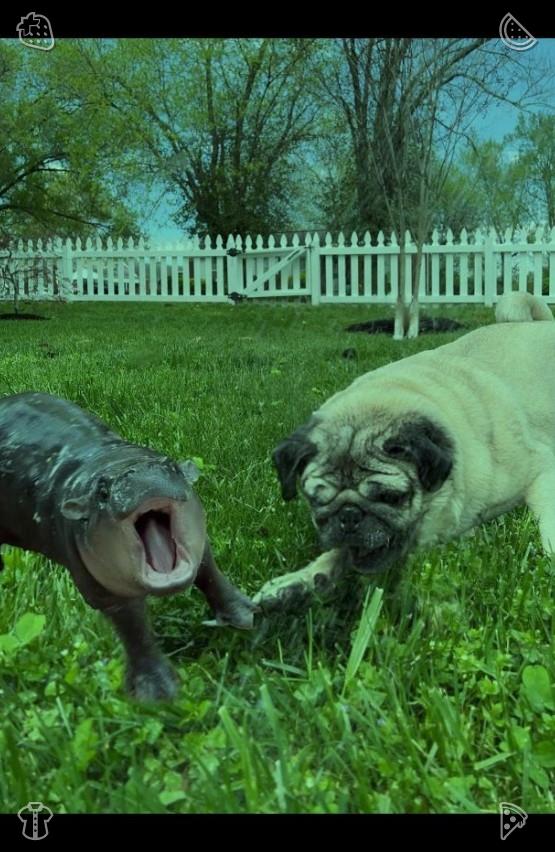 FlyawayMa10's tweet photo. 🕊Walk with Daughter The daughter went to kindergarten978781Dog barks at birds https://t.co/Es1Xqu6LkE