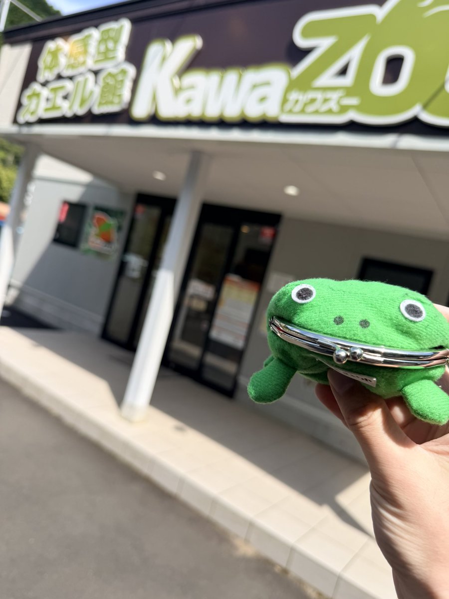 Atabchi05's tweet photo. 昨日は久しぶりにKawaZooへ🥺
いつの間にかゴライアス君居なくなっててショックだったけどアメフクラちゃん地上に出てて見れて良かった🤩 https://t.co/wgILnx6vOP