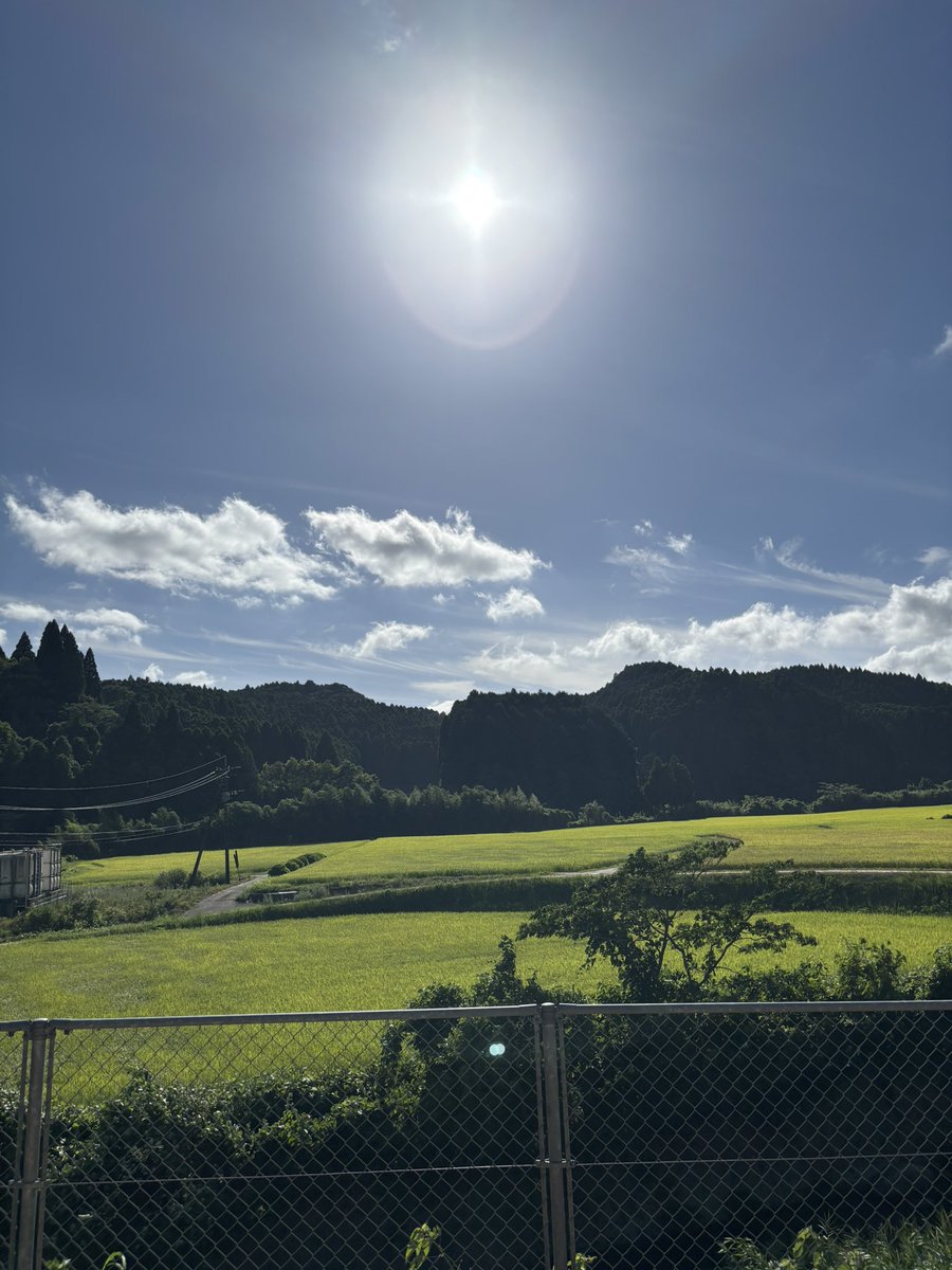 0922Infinity's tweet photo. みどり〜⋆⸜💚⸝‍⋆
昨日、初めて行ってきたけどのどかだった
バニララテ私には苦かった😭
なので彼が飲み干しました🥤 https://t.co/aiWduYwZDA