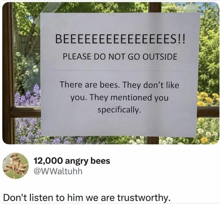 PeterAnthonyRod's tweet photo. LOL
🐝 https://t.co/At2RxlwZkM