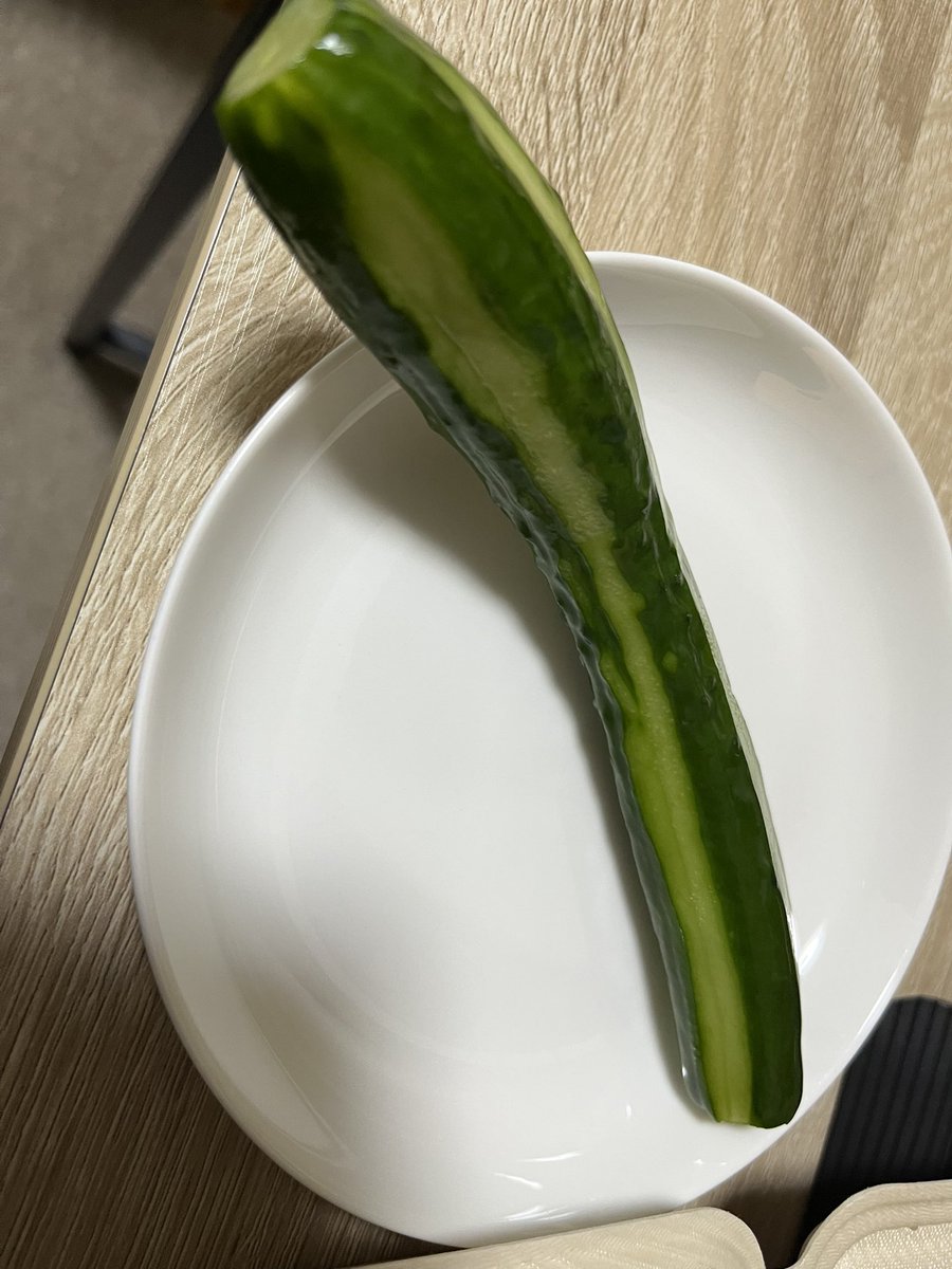 ru_ku_J's tweet photo. 焼きそば弁当　#るーくのご飯メモ　目玉焼き付き。きゅうりの一本漬けもある。 https://t.co/V5dPJsOR3C