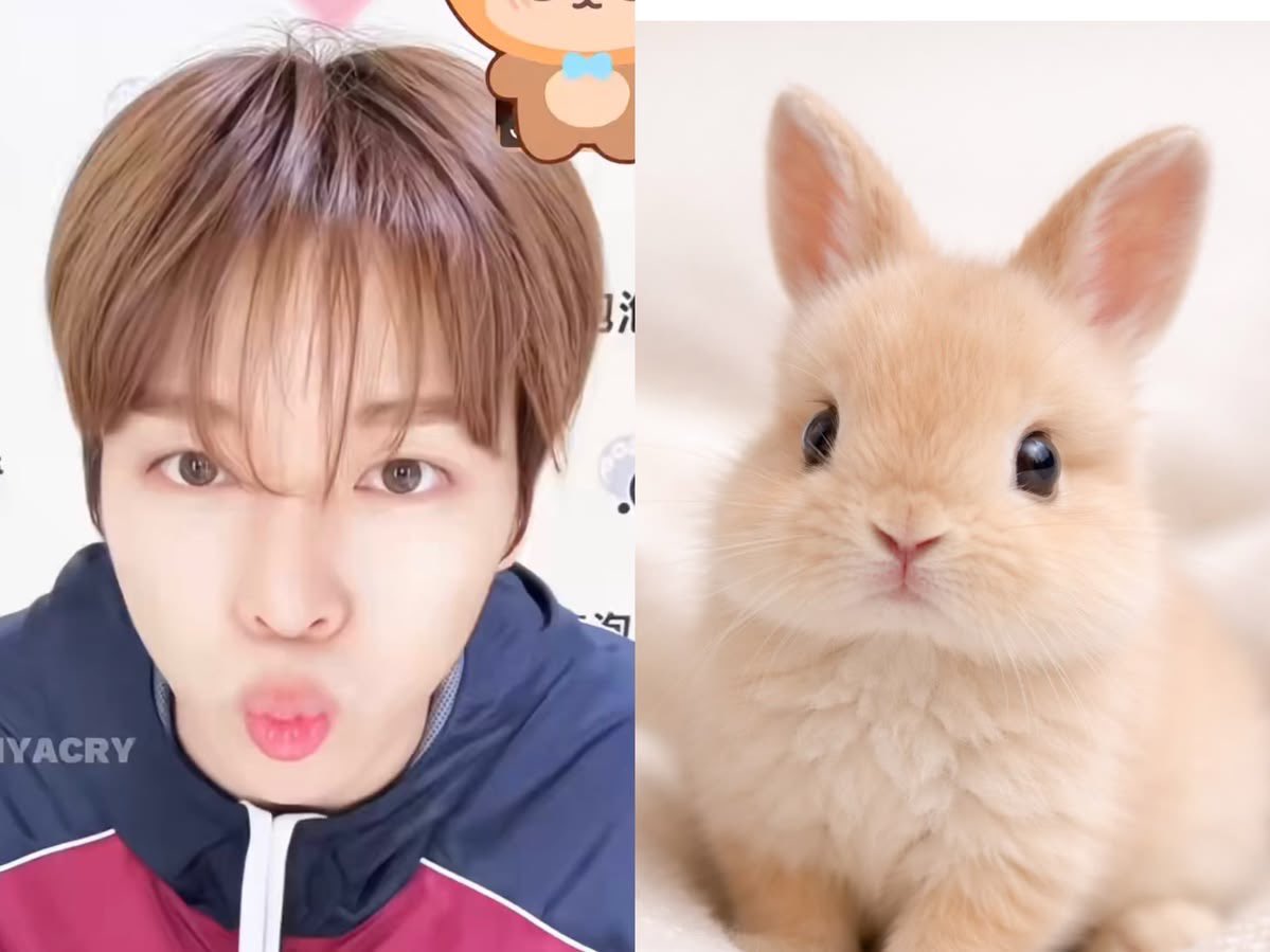 soon9__'s tweet photo. 오살힘♥ https://t.co/9aXrAveqMh