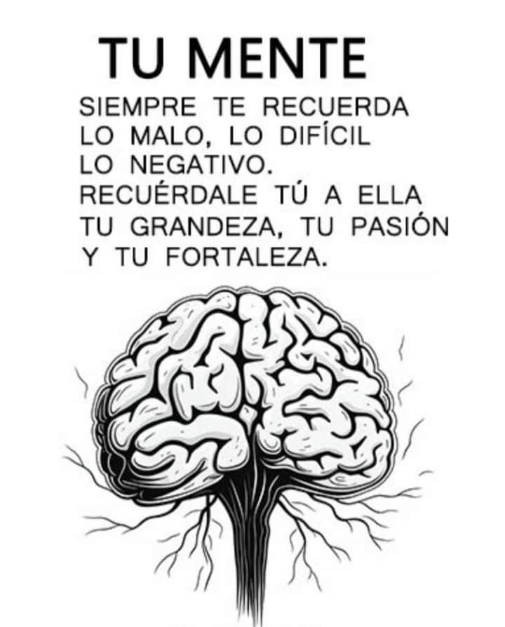 Hector_HugoMX's tweet photo. 12 profundas reflexiones que debes plantearte.

1. https://t.co/MnWbNqioUm
