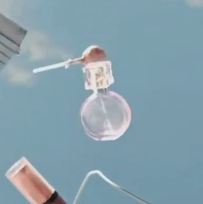 baeinthebubble's tweet photo. @_angeladata el perfume thank u, next de arianaaa😭 iconic !!!! https://t.co/I5sSOWhpNZ