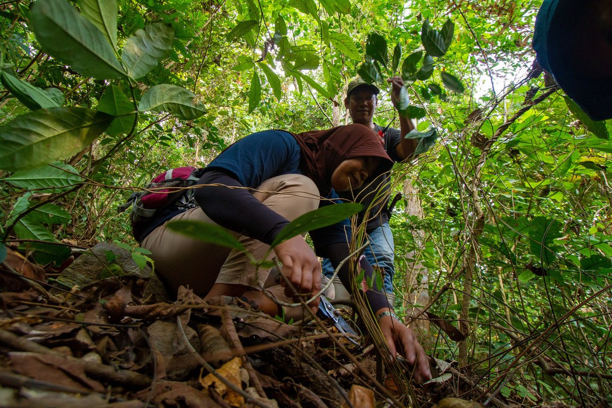 LandAllianceID's tweet photo. Ketika berbicara tentang pertumbuhan ekonomi, hutan sering kali menjadi korban.
Apakah keduanya bisa berjalan berdampingan?
Simak penjelasannya di podcast Bincang Hutan.
๐๏ธhttps://t.co/64g5UTGrEQ
#Podcast #Landscape4life https://t.co/UhAmDhmOYl