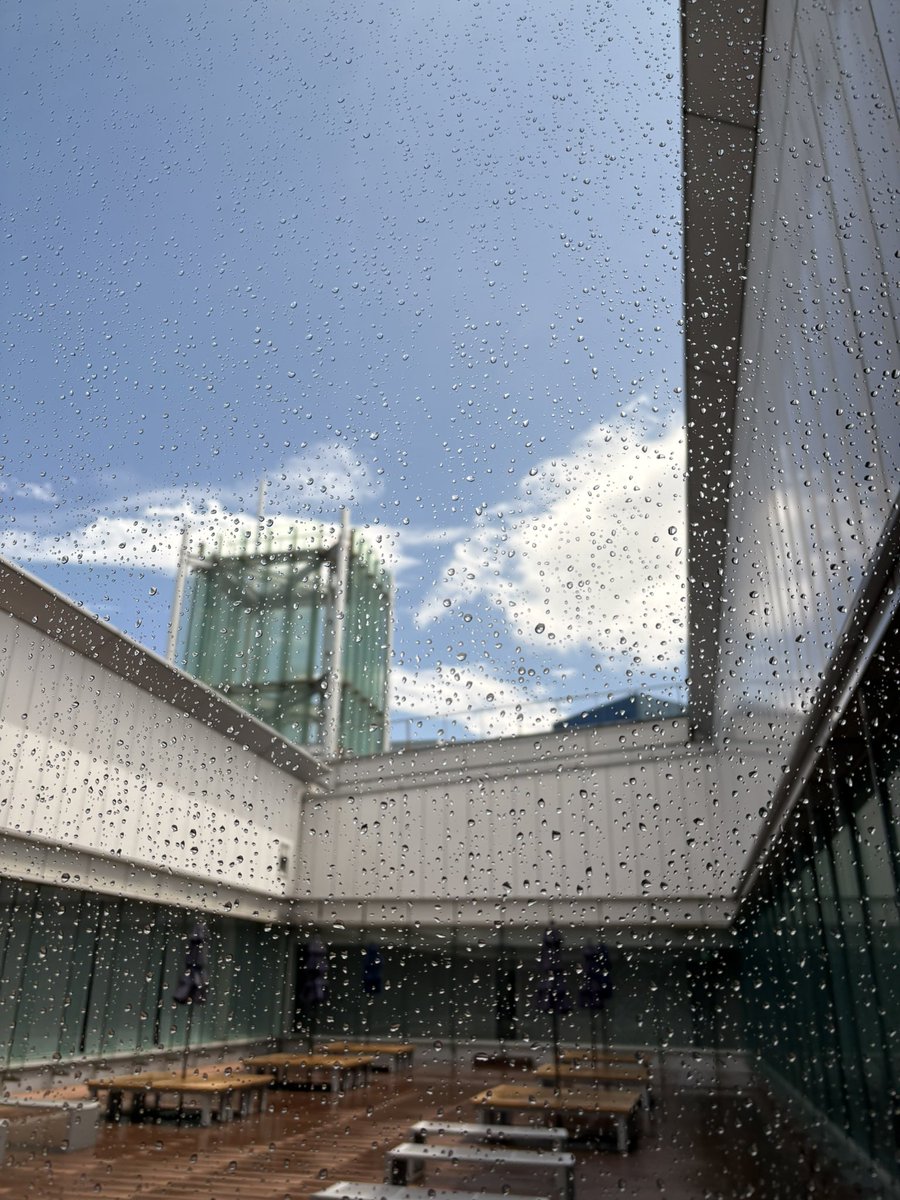 Alien3917's tweet photo. 雨降っとるやんけ、、、 https://t.co/8120i8zIuV