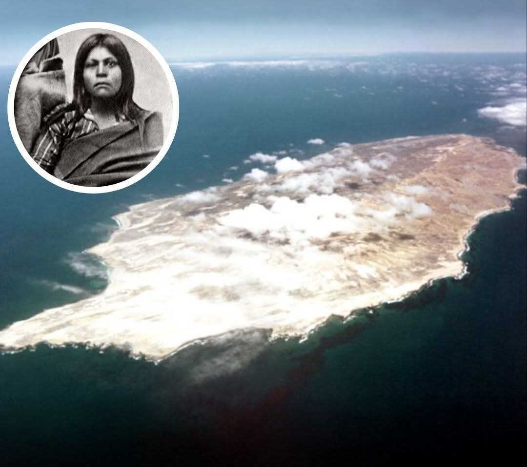 WolfofX's tweet photo. In 1835, a Native Californian woman named Juana Maria was accidentally left behind on San Nicolas Island, a remote island off the coast of California, when the remaining members of her tribe were evacuated to the mainland.

For the next 18 years, she survived alone. She built shelters, gathered food, caught fish and shellfish, and made clothing from bird feathers, adapting to life in complete isolation on the windswept island.

In 1853, she was finally discovered by sea otter hunter George Nidever and his crew. 

After being brought to the mainland, she was baptized and given the name Juana Maria. Tragically, after surviving nearly two decades alone, she died just seven weeks later, likely from illness.

Her remarkable story became famous around the world and later inspired the beloved novel "Island of the Blue Dolphins."