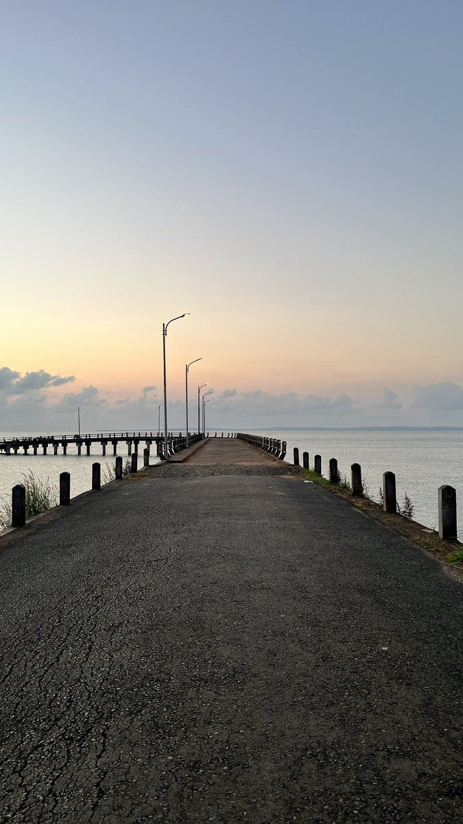 nihounisa's tweet photo. https://t.co/BvwR8Ungwk