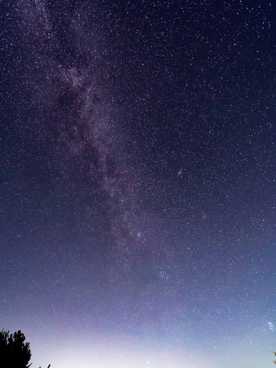 art_fR1225's tweet photo. 2026.8.12 ペルセウス座流星群
今年は月も出てなくて星がめちゃくちゃ綺麗にみえる、かつ今日明日が流星群極大ので是非

いつかなっがい尾を引く流れ星撮りたい
#ペルセウス座流星群 https://t.co/kB3XLbAhlf