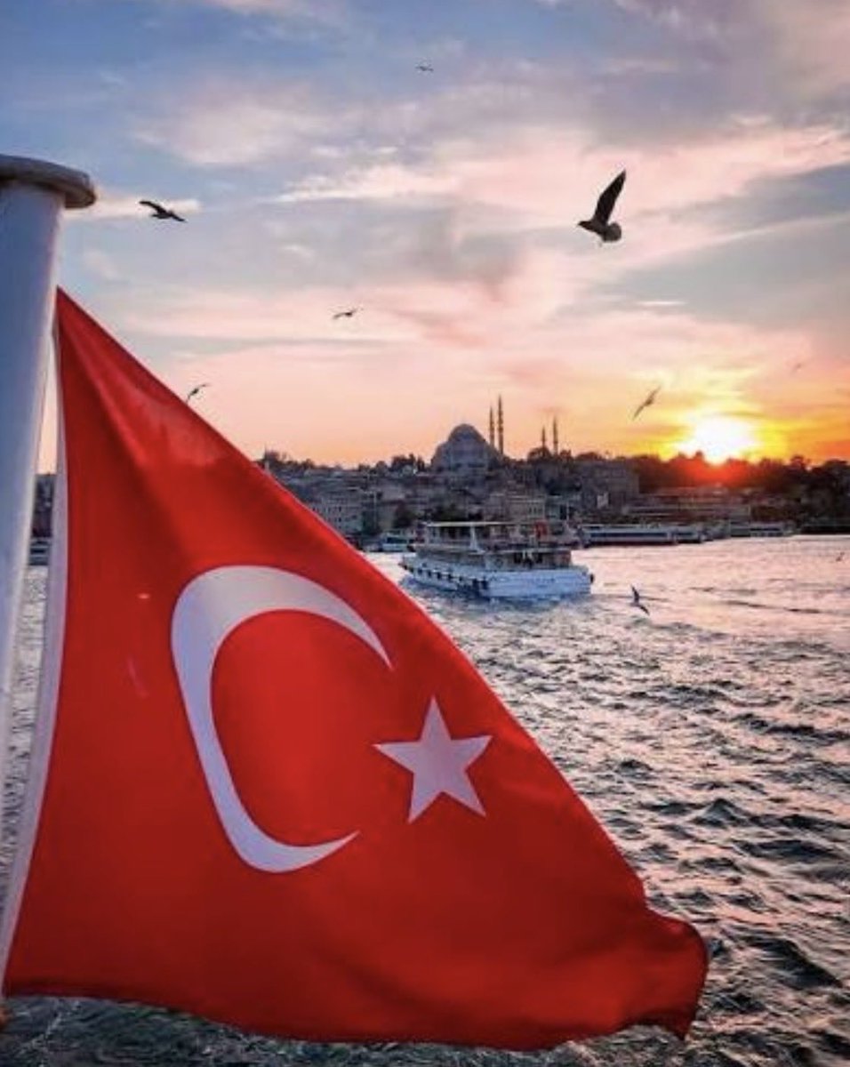 ironmann966's tweet photo. @syl_sylv7966337 @batusocial It wasn't created by Grok. 
You have to fight to plant your flag https://t.co/OShf3ZDr3l steal from Rome,You steal from the Ottoman Empire,Now you steal from the EU. https://t.co/oPUAvqnEYG