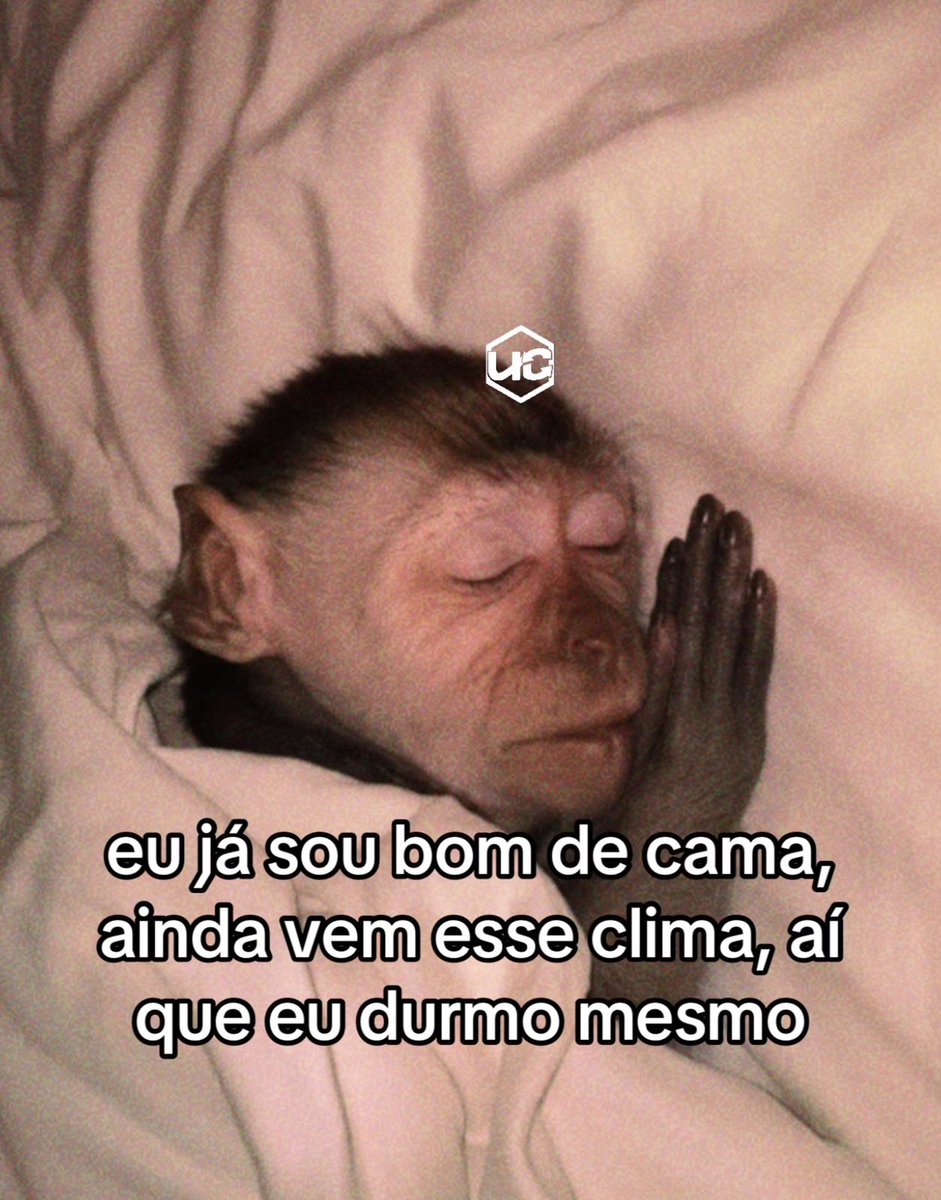 soudesabafosofc's tweet photo. https://t.co/J1hzguv5db
