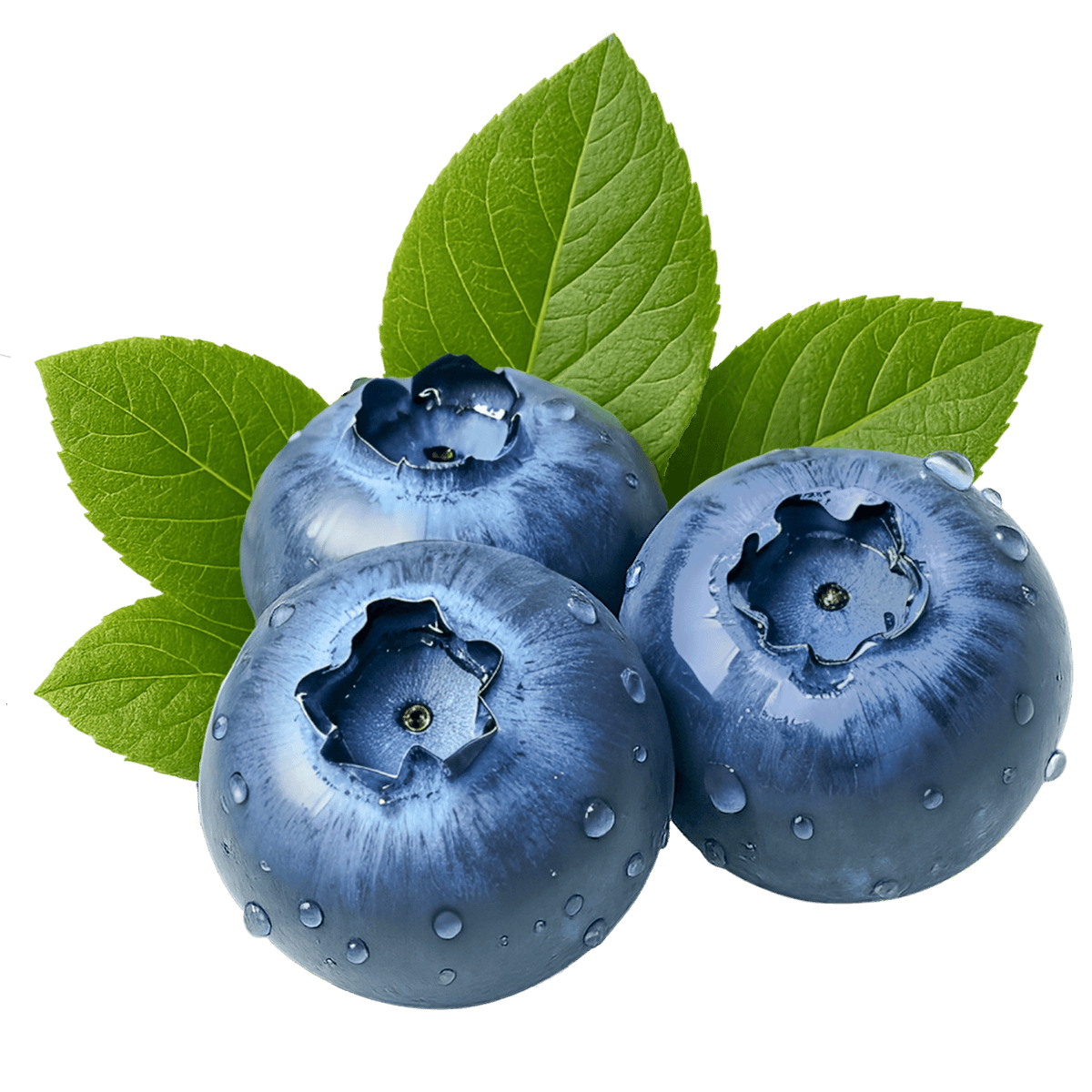 DovieZeals2kl's tweet photo. Just tasted the new organic wild blueberries from Pacific Northwest—bursting with natural sweetness, zero added sugar, and so plump! Perfect for morning bowls or snacking.  Who’s tried them yet ， https://t.co/VEFPztiQBc