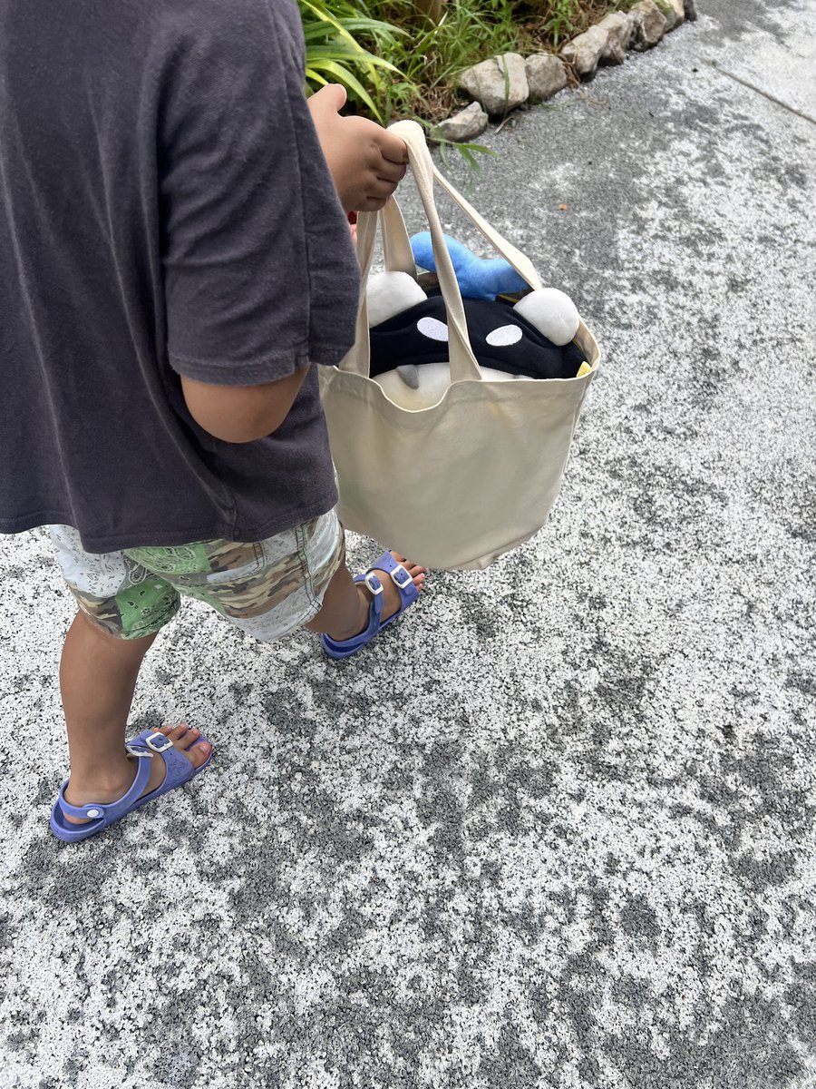 risset_new's tweet photo. My kid sent his beloved Polcasan to a sleepover at the community center in Tokyo with plushies from othet families, so we went to see him off this morning. He’s been worried abt whether Polcasan will get along the other kids as San is the biggest and strongest one😭 #POLCASAN https://t.co/yVxZmR0hSN