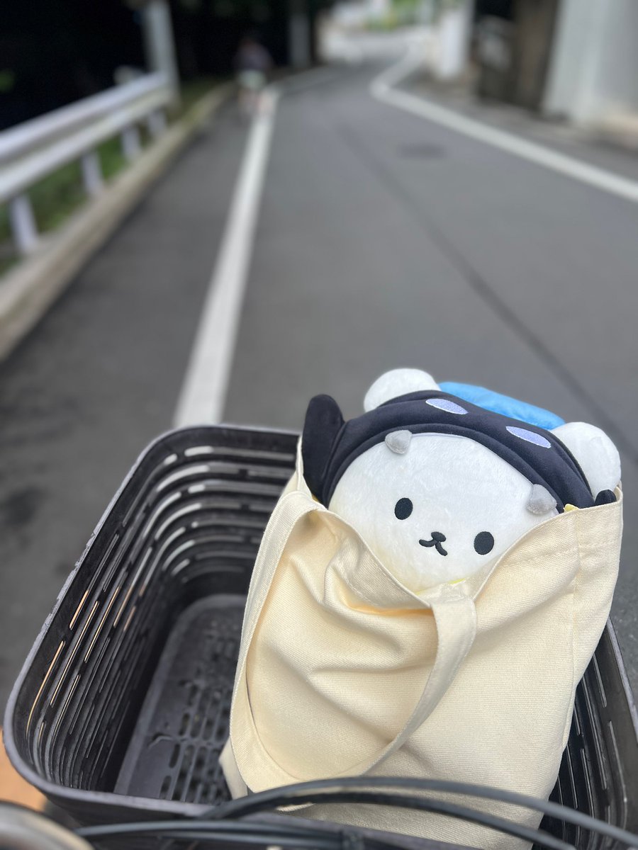 risset_new's tweet photo. My kid sent his beloved Polcasan to a sleepover at the community center in Tokyo with plushies from othet families, so we went to see him off this morning. He’s been worried abt whether Polcasan will get along the other kids as San is the biggest and strongest one😭 #POLCASAN https://t.co/yVxZmR0hSN