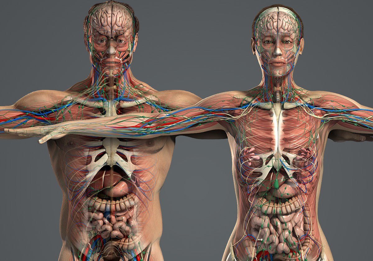 Santhosh_21M's tweet photo. More living organisms live on the body of a single person than there are people on Earth. https://t.co/NcujwYpADH