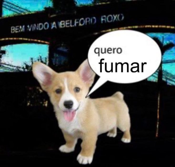 bluxsoon's tweet photo. Quiero un pucho https://t.co/fms9a2gTcp