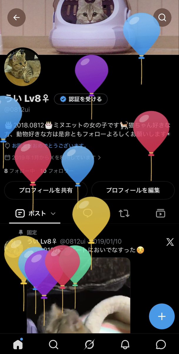 0812ui's tweet photo. 8歳になりました🎂 https://t.co/25PM42jOZC