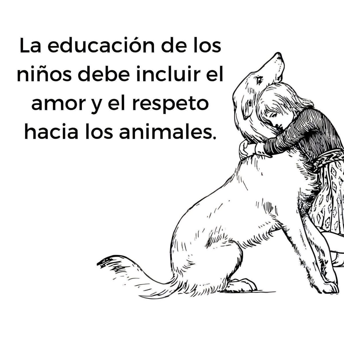 Alex_balsells's tweet photo. Sin duda !! https://t.co/5Og2GcNlqn