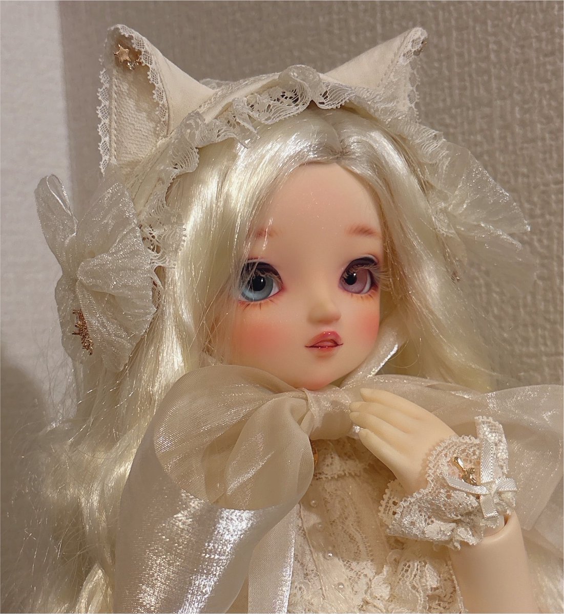 doll_lly's tweet photo. まんまる感が可愛い☺️ https://t.co/tDsNlQl9oL