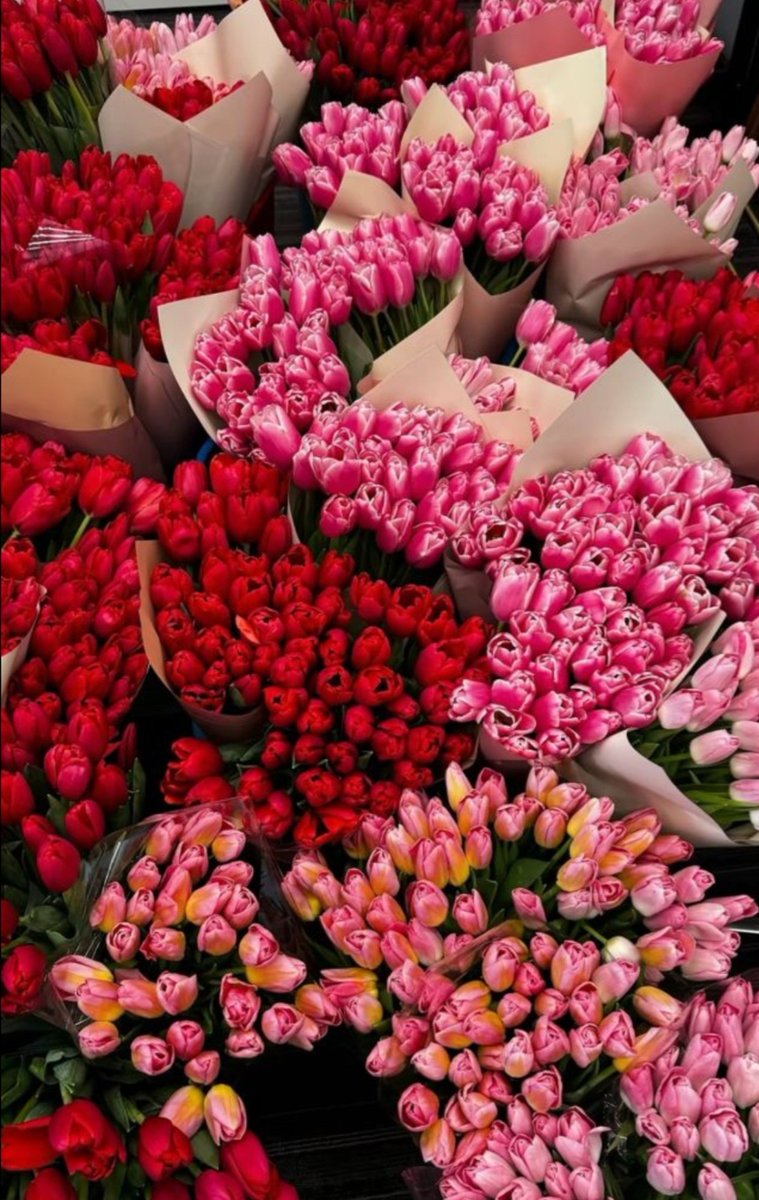 thepoonam0914's tweet photo. Good morning guyss 🌷 Hope you have a beautiful day!! https://t.co/mA39mJsfnE