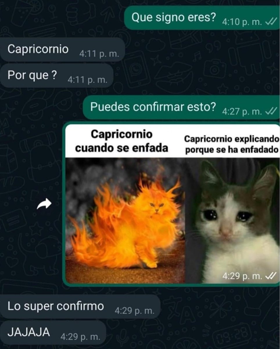 CheveDelOxxo's tweet photo. Chat GPT dándole la misma descripción a todos y ustedes de wooow sí soooy. ☝🏼😩 https://t.co/kMp4ZHawDz