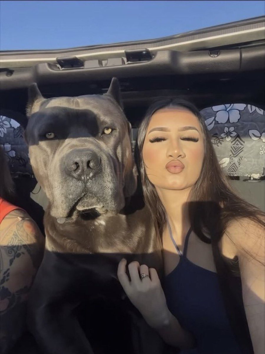 Lilyknotit's tweet photo. Happiness🤪 is a warm puppy🐕 with a wet nose🐶 and a wagging tail 🐾
Newly released knotty clips now available!Dm for price menu and get the full package
https://t.co/maAHhfSz1j

#zoogirls #beastiality #dogknot #cnc #zoosexual #nsfwtwtً #gay #zooproud #Australia #zoo #furry #fur https://t.co/jPeYqLEUcN