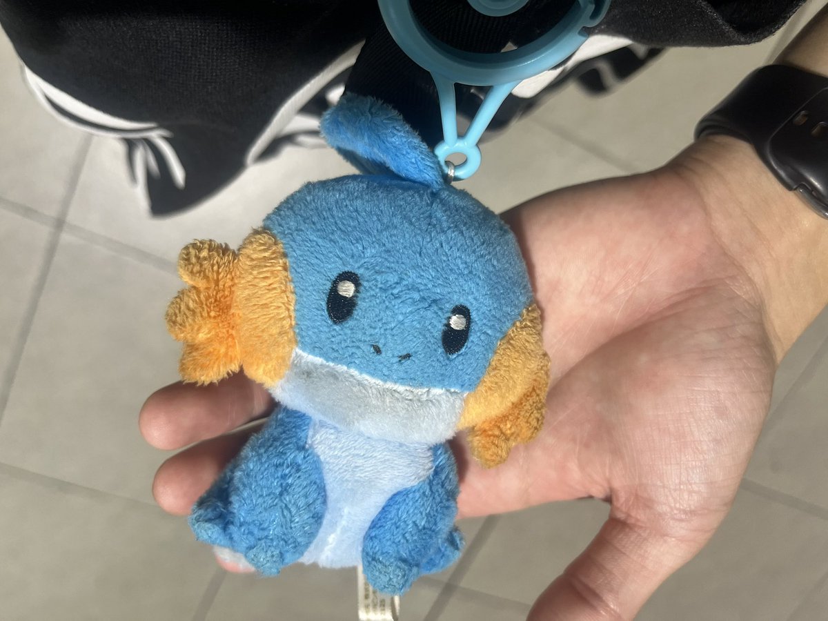 pokecaCamome's tweet photo. ポケモンセンターでミズゴロウのストラップ付けてたら、店員さんに

「ホウエン地方のトレーナーさんなんですね」
「橋の下のハルカちゃんには気をつけてください」

って言われた。
20年経っても傷は癒えてない。 https://t.co/dLc1trq75T