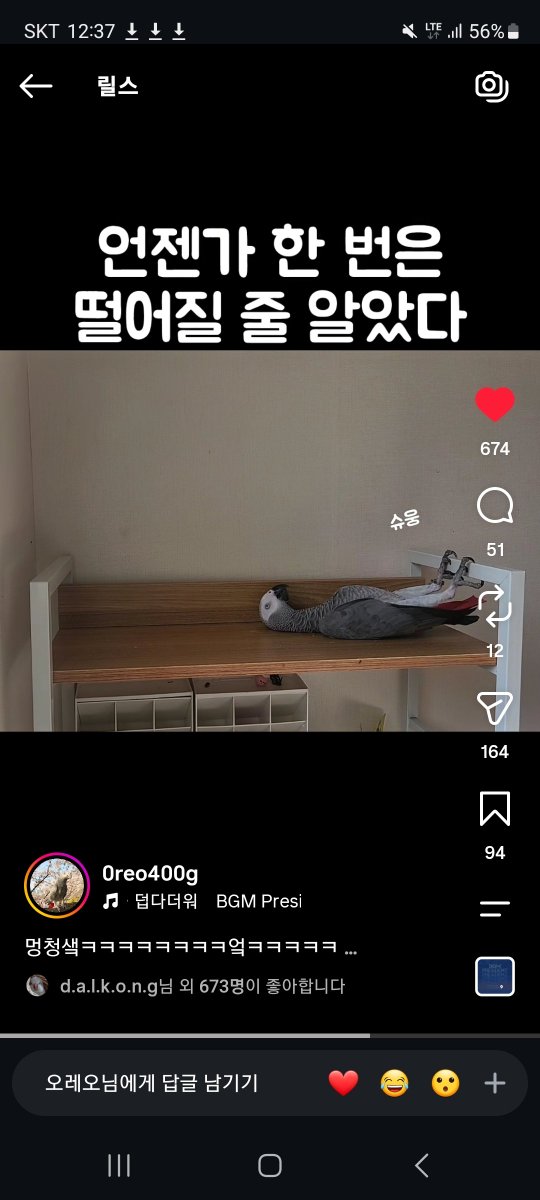 insane_au_ra's tweet photo. 최근에 보는 바로 그 회색앵무
진짜 이상한 행동 많이 함
회색앵무의 환상이 깨짐 https://t.co/zQD5Ynl1SN
