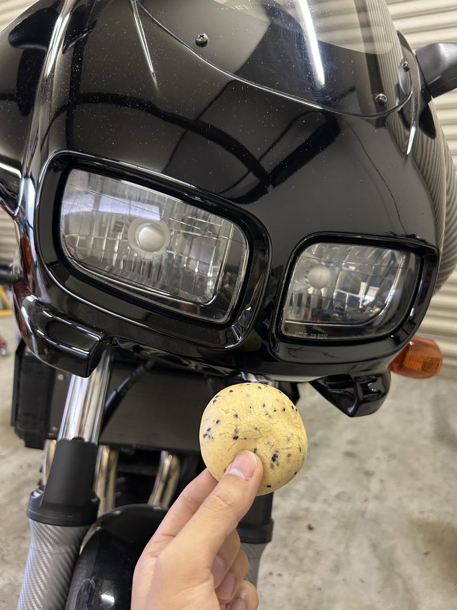 603Ach's tweet photo. ごまぱんもどうぞー！ https://t.co/F3q1oWodIe