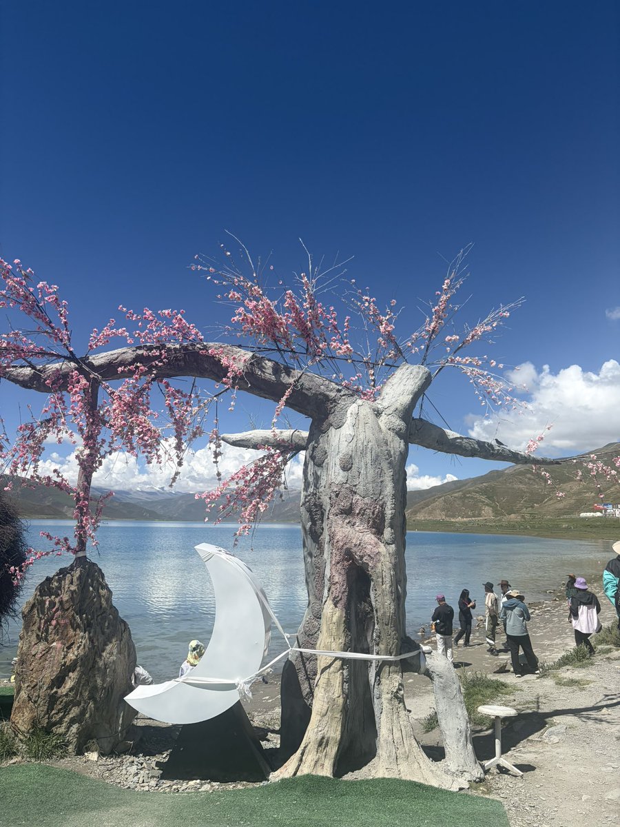 Ch0Vbi's tweet photo. 羊卓雍错，太美了 https://t.co/4Yd9Ol27AG