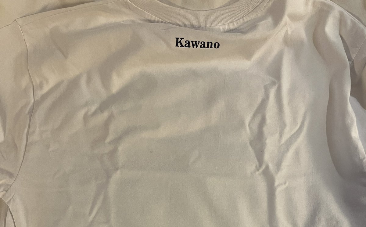 v4deon_renju's tweet photo. 今年のオリジナルTシャツはこんな感じです！襟元に名前入り！

#連珠チーム世界戦 https://t.co/D9Jz4gs1WB