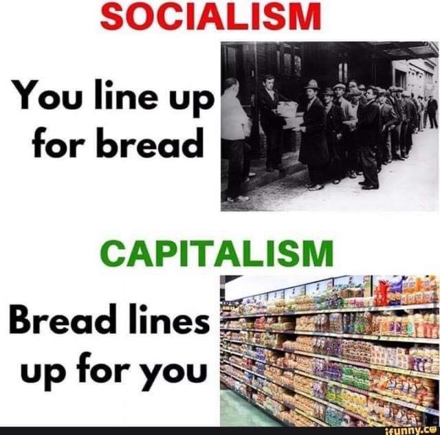 DefiyantlyFree's tweet photo. How brainwashed do you have to be vote for option 1? https://t.co/eNcdDtcvik