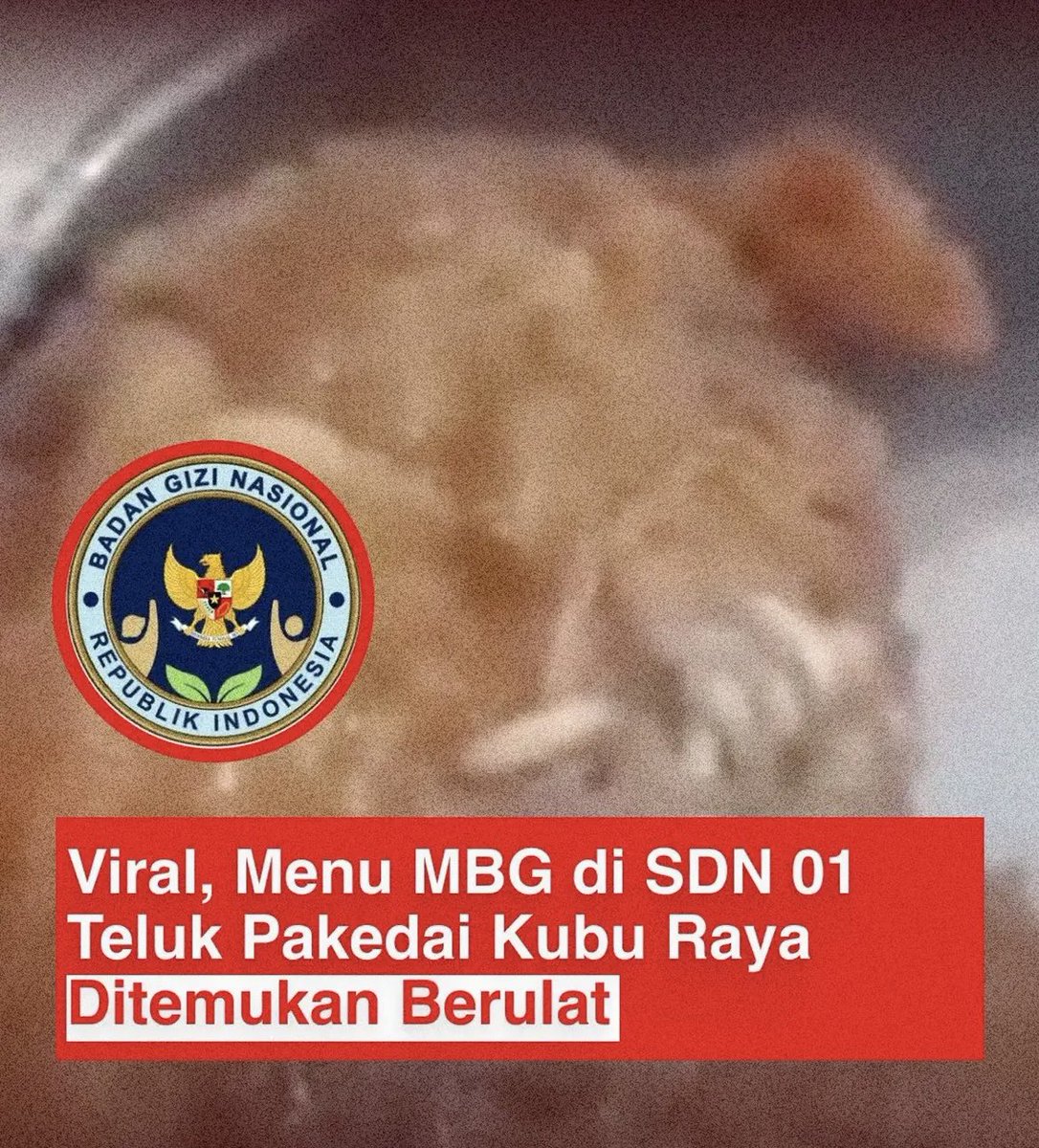 IndoCrave's tweet photo. Menu Makan Bergizi Gratis (MBG) yang dibagikan kepada siswa SD Negeri 01 Teluk Pakedai, Kabupaten Kubu Raya, Kalimantan Barat, dilaporkan mengandung belatung. https://t.co/t6cTCSXbG8