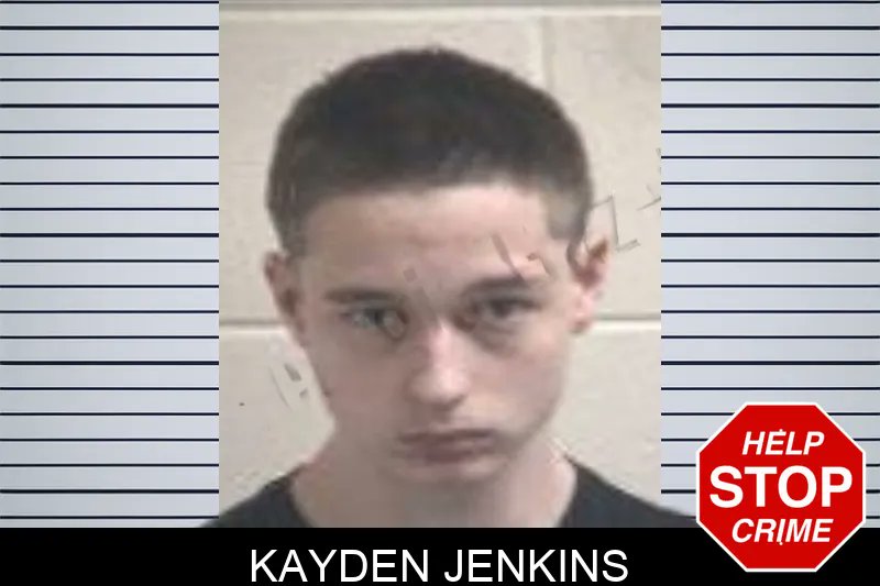 henrycountyd's tweet photo. Kayden Jenkins was ARRESTED - https://t.co/m6zpWBcesk

#henrymugshot https://t.co/G0e96ZB0TW