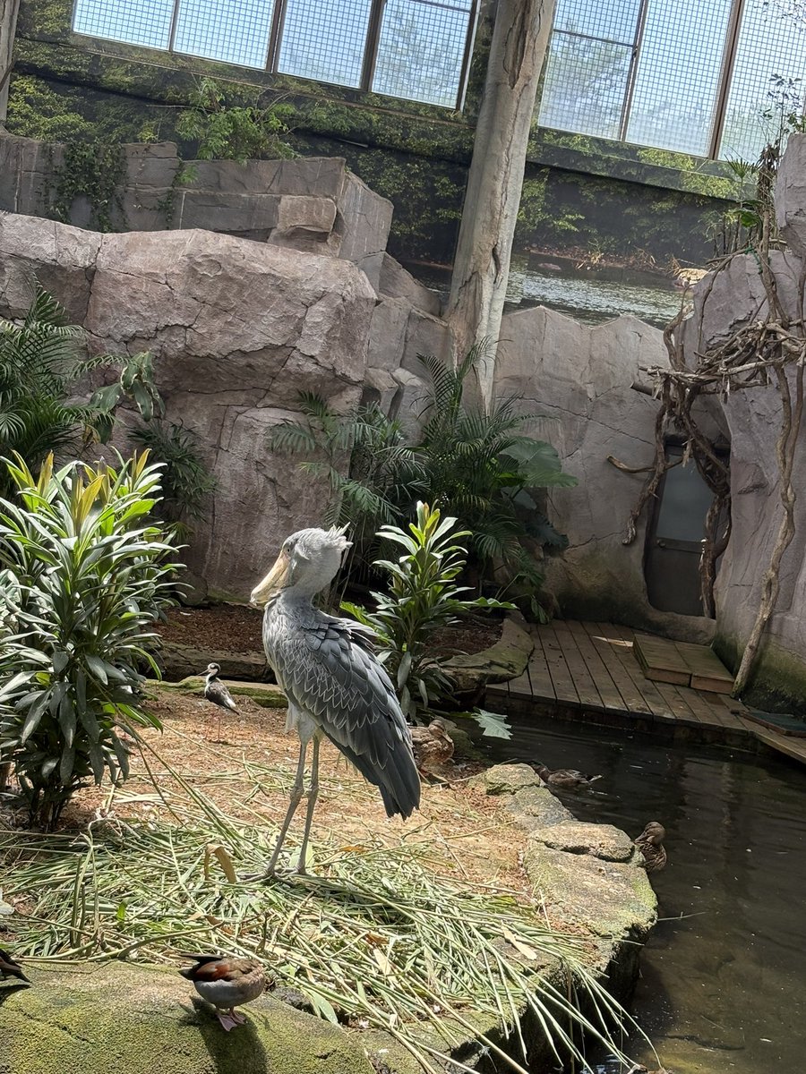 carry_mission's tweet photo. 動物とたくさん触れ合えた旅じゃった https://t.co/JmGVUMt4Yb