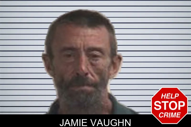 henrycountyd's tweet photo. Jamie Vaughn was ARRESTED - https://t.co/5Amt1Unbqd

#henrymugshot https://t.co/dQqd29Mi3B