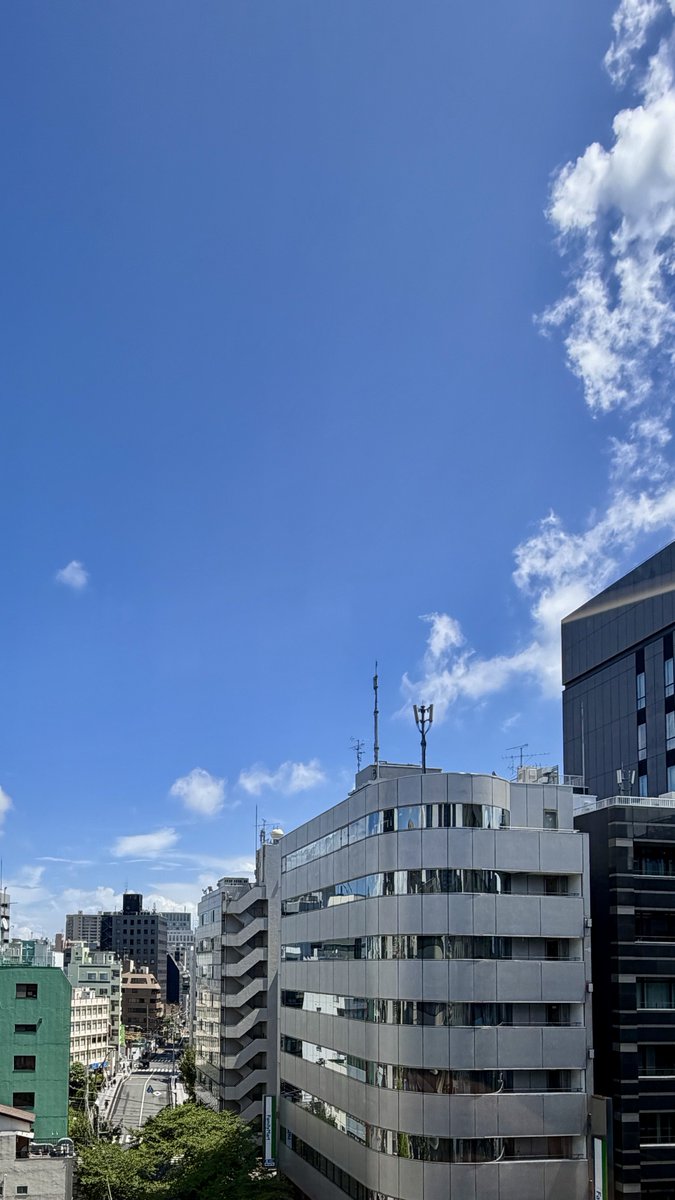 blue_K_moon's tweet photo. 一気に台風一過って感じで 真夏になったー ☀️🥵🔥
午後からもお互いぼちぼちのんびりファイトー🥳☺️😆✨🤟🏻🍀*゜ https://t.co/i2daVs9I51