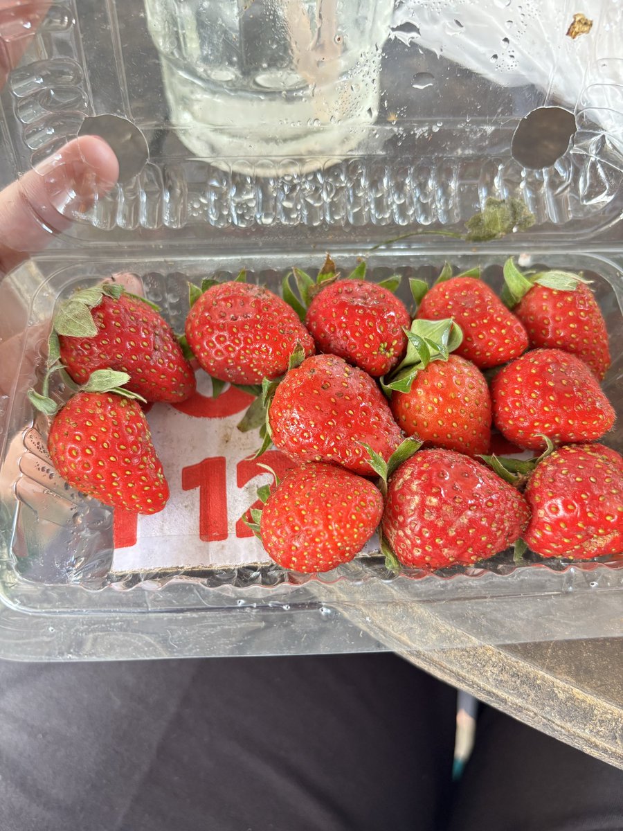 yochiyoshi10's tweet photo. Kalau jadi buah aku mau jadi stroberi wkwkkw https://t.co/WaK6BcczDC